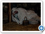 mendicante