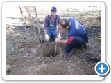 al lavoro (3)